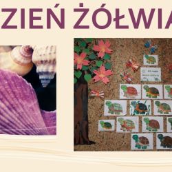 Dzień Żółwia