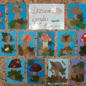Dzień grzyba