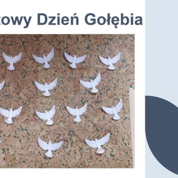 Światowy Dzień Gołębia