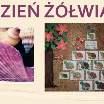 Dzień Żółwia